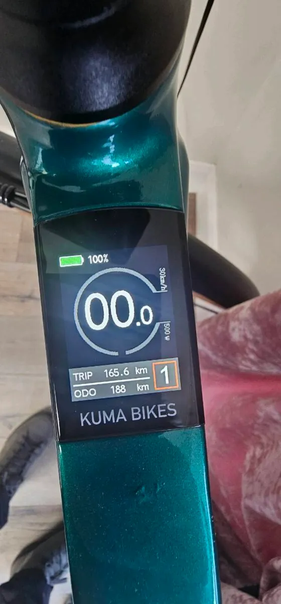 Kuma r1 electric bike - Image 4