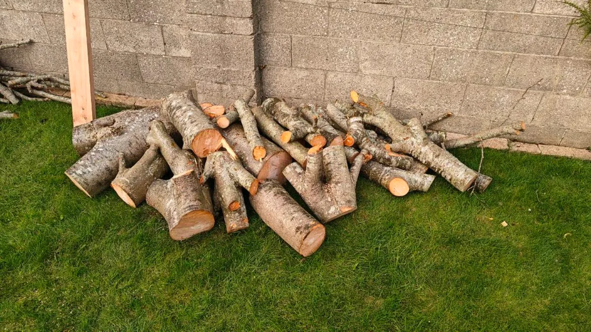 Free Fire Wood - Image 1