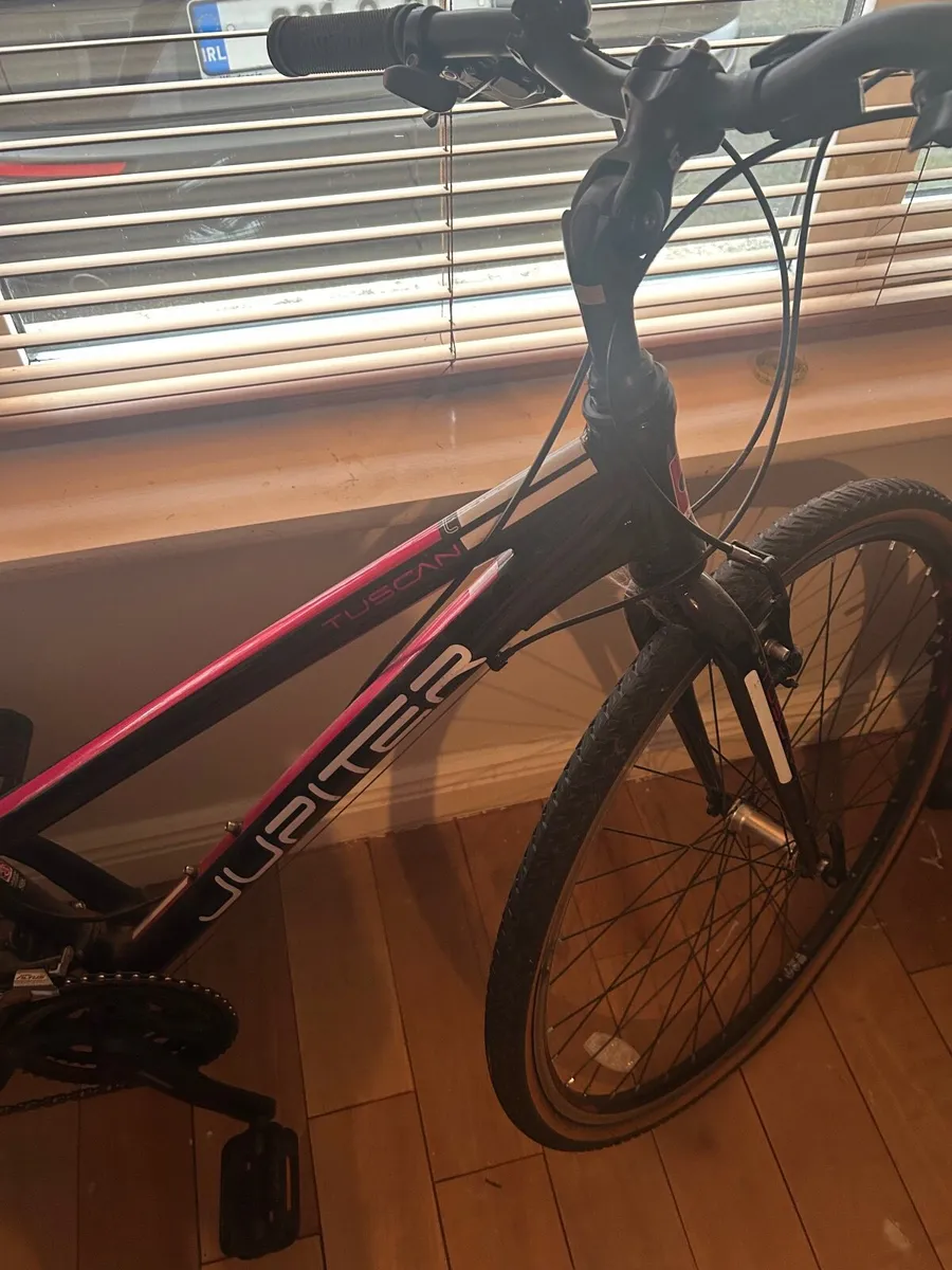 Jupiter bike - Image 4