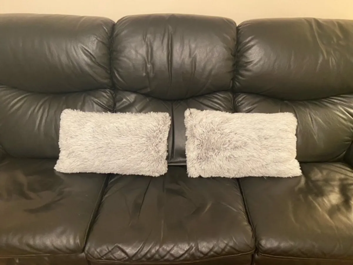 Fluffy Cushions (x2)