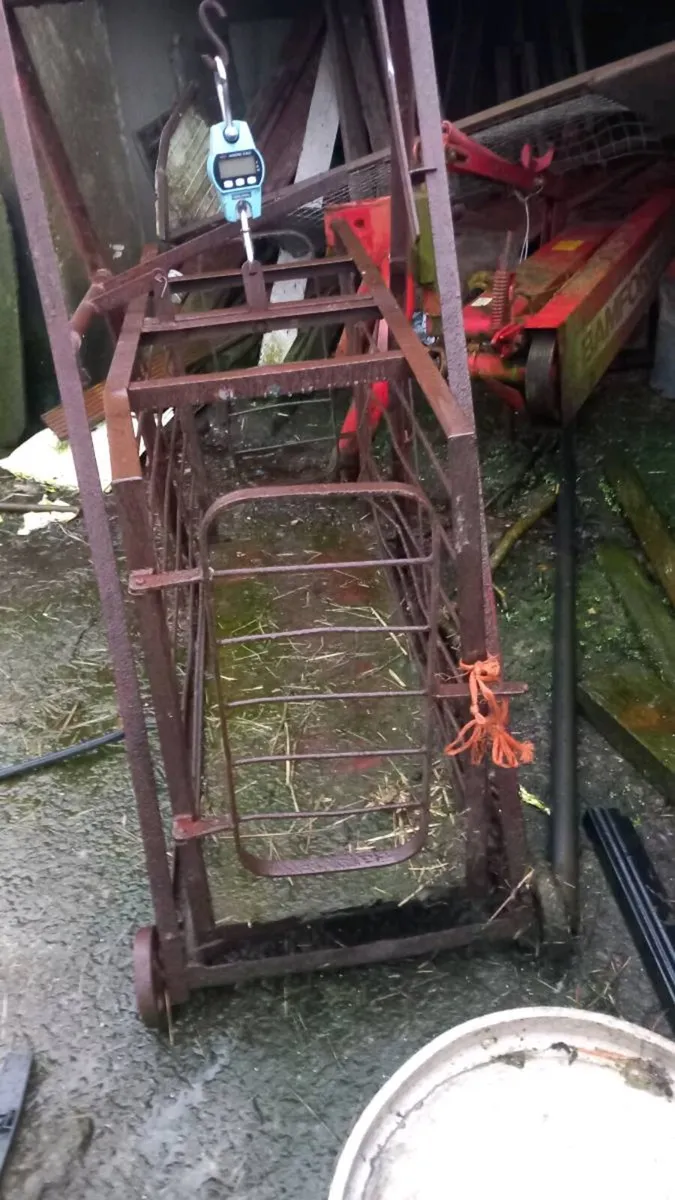 Lamb weighbridge - Image 3