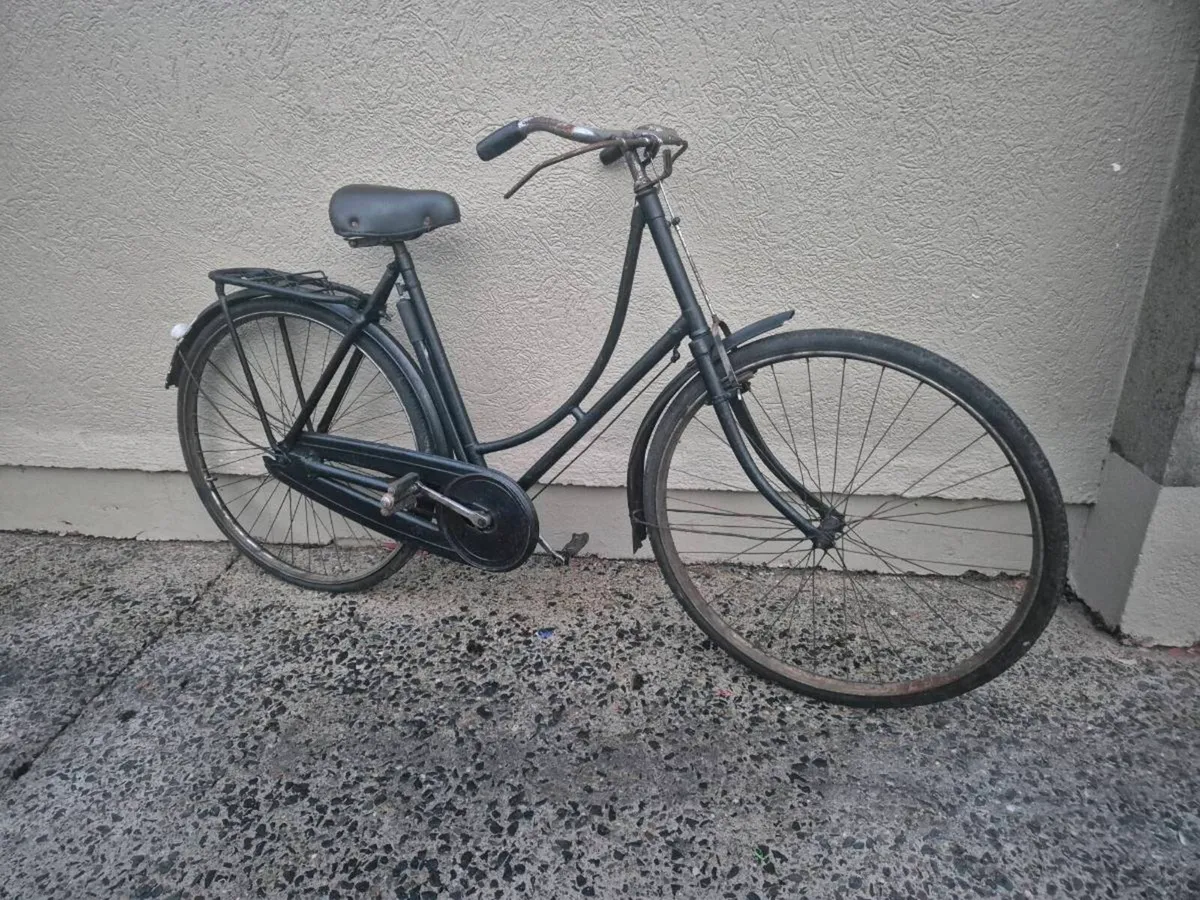 Hi Nelly  woman's  bike - Image 1