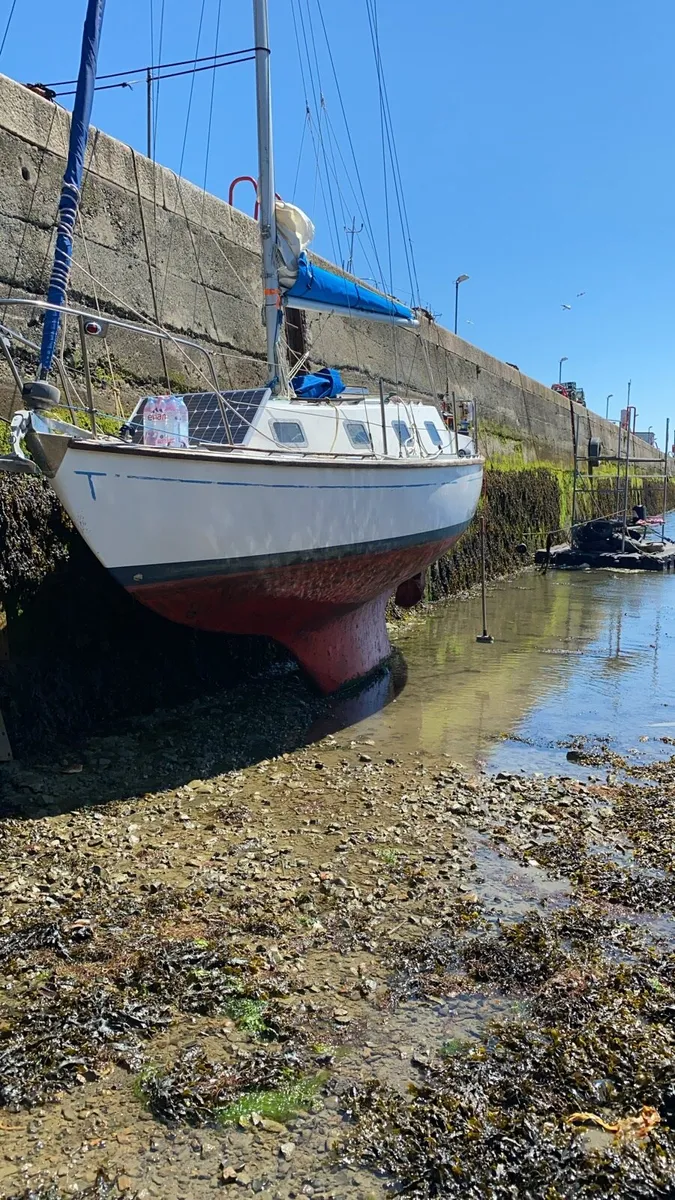 23ft Sailing Boat - Morgan Giles - Image 4