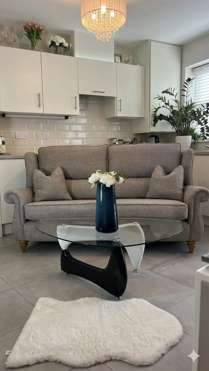 Feline Furniture Sofa Freshly Cleaned & Steamed - Image 1