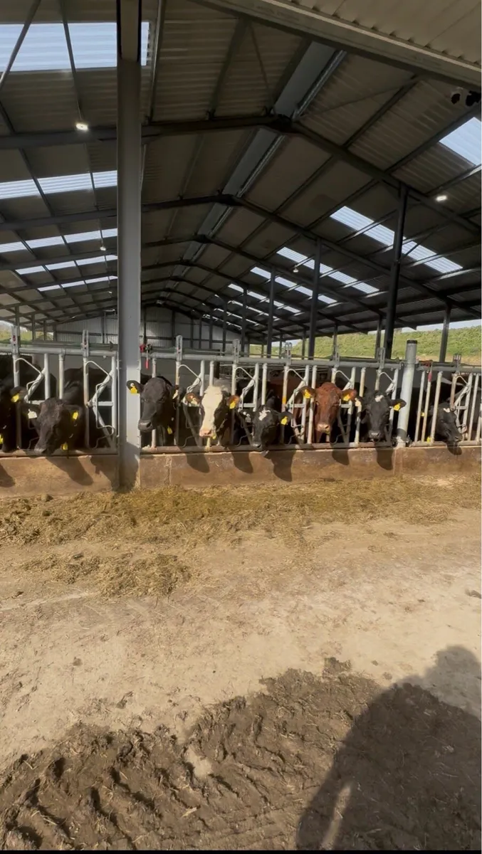 Heat and Health detection system - Image 1