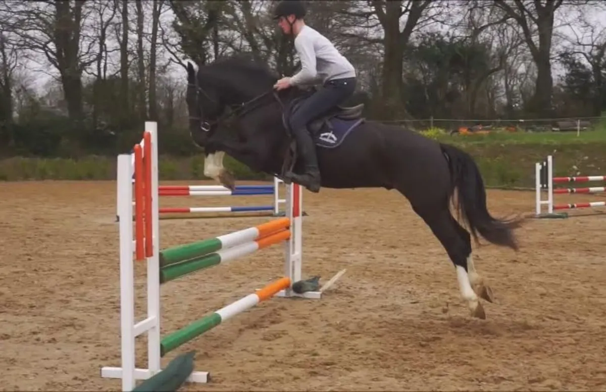 🌟 Top Potential Performance Draught 🌟 - Image 4