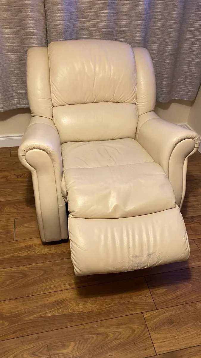 Free Recliner Chair - Image 1