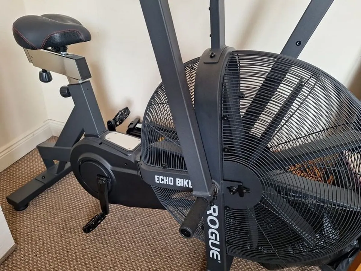 Rogue echo bike - Image 4