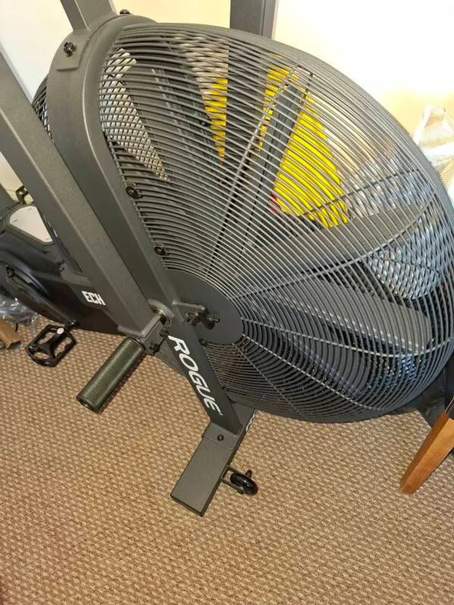 Rogue echo bike - Image 1