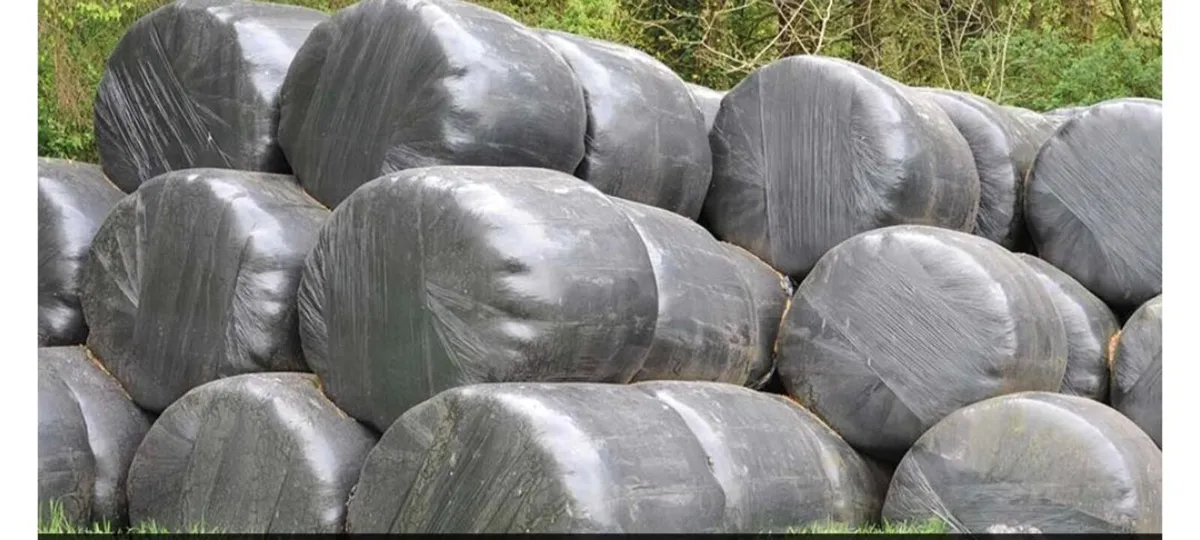 Silage bales