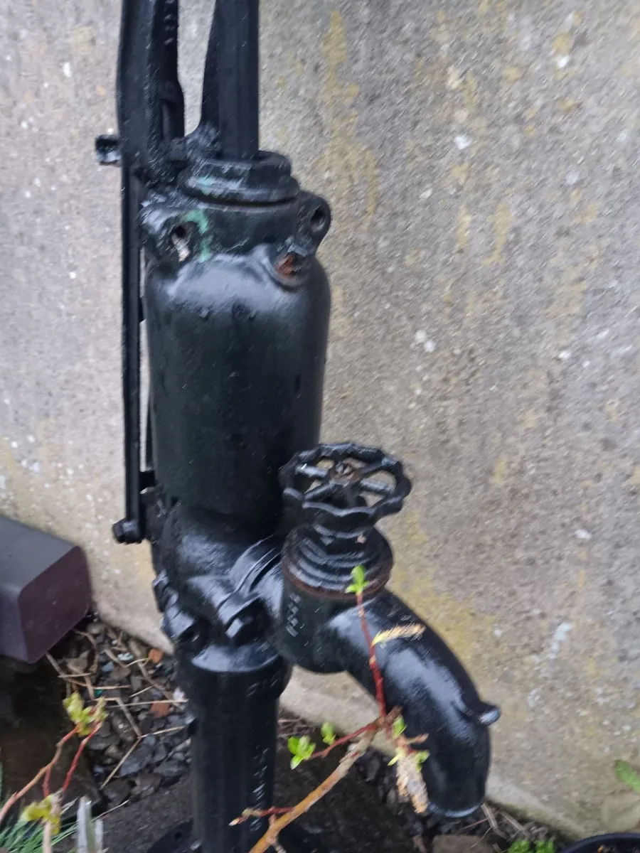 Cast iron water pump - Image 3