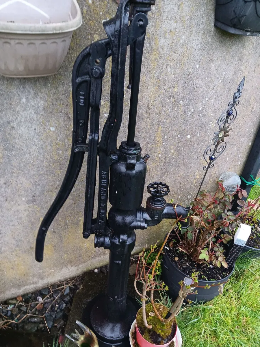 Cast iron water pump - Image 2