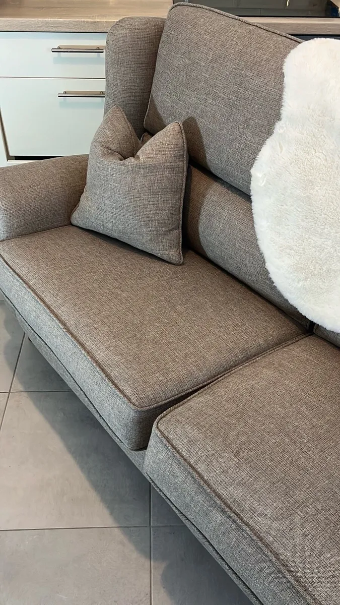 Feline Furniture Sofa Freshly Cleaned & Steamed - Image 4