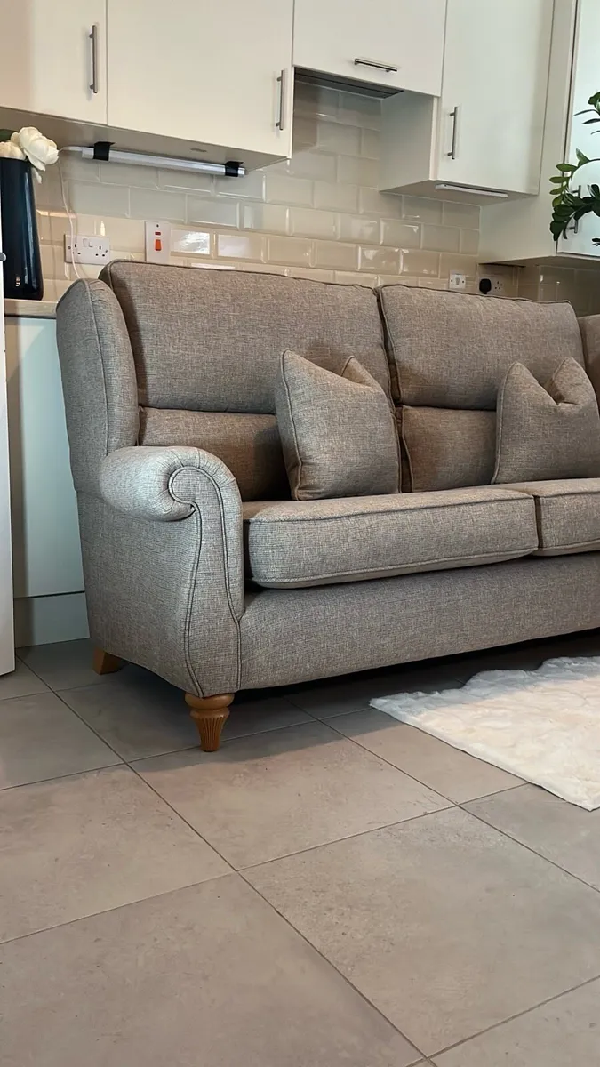 Feline Furniture Sofa Freshly Cleaned & Steamed - Image 2