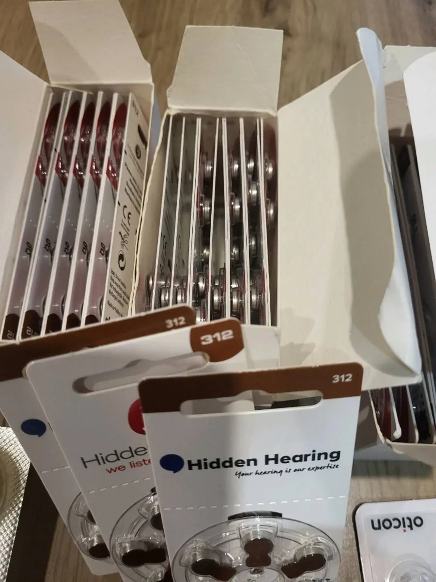 Oticon Hearing Aid - Image 4