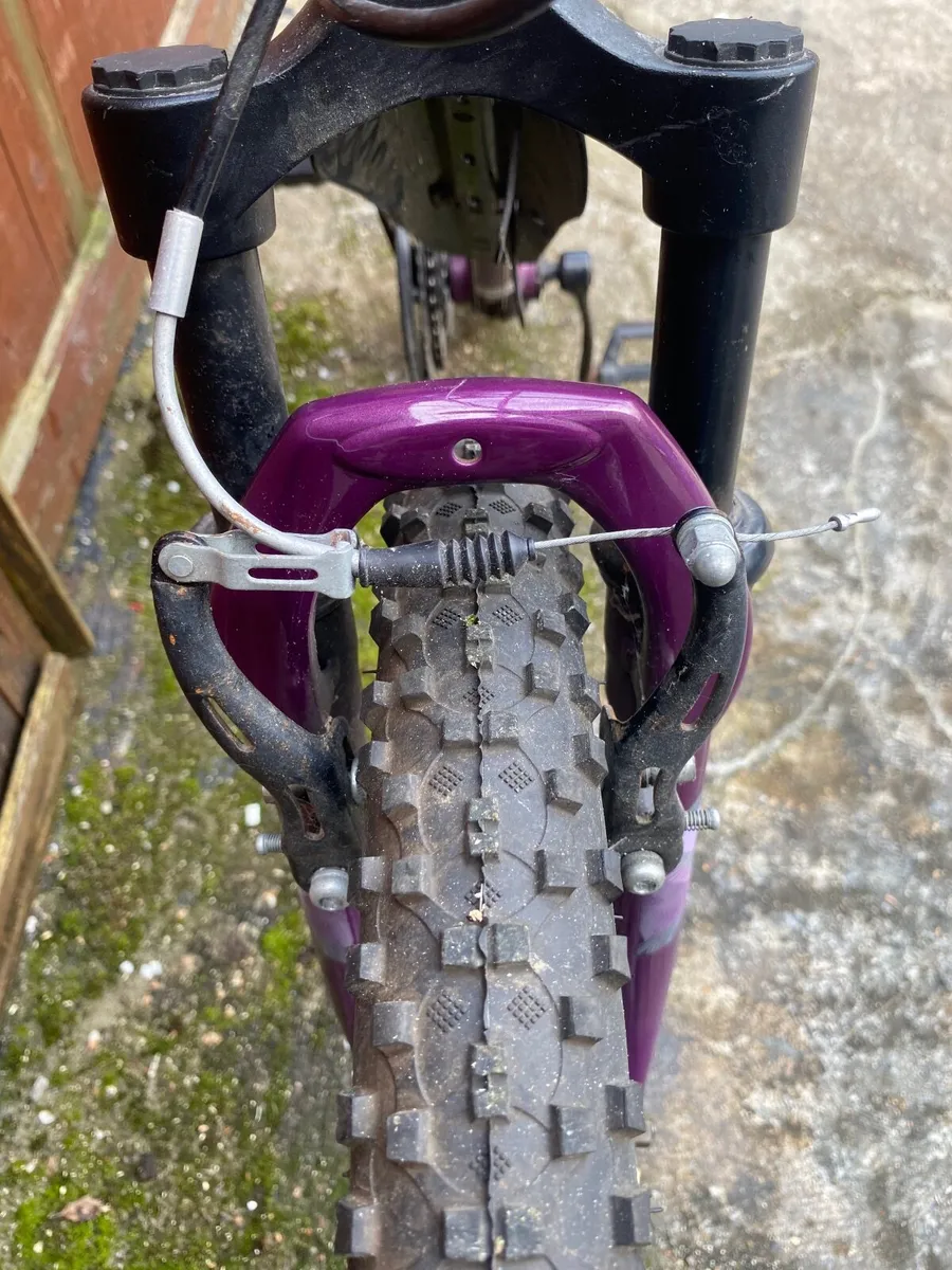 Apollo jewel - Image 2