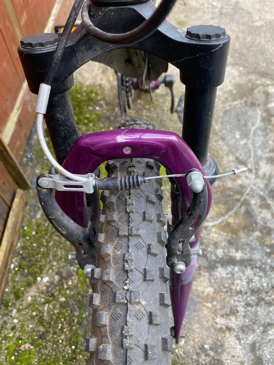 Apollo jewel - Image 4