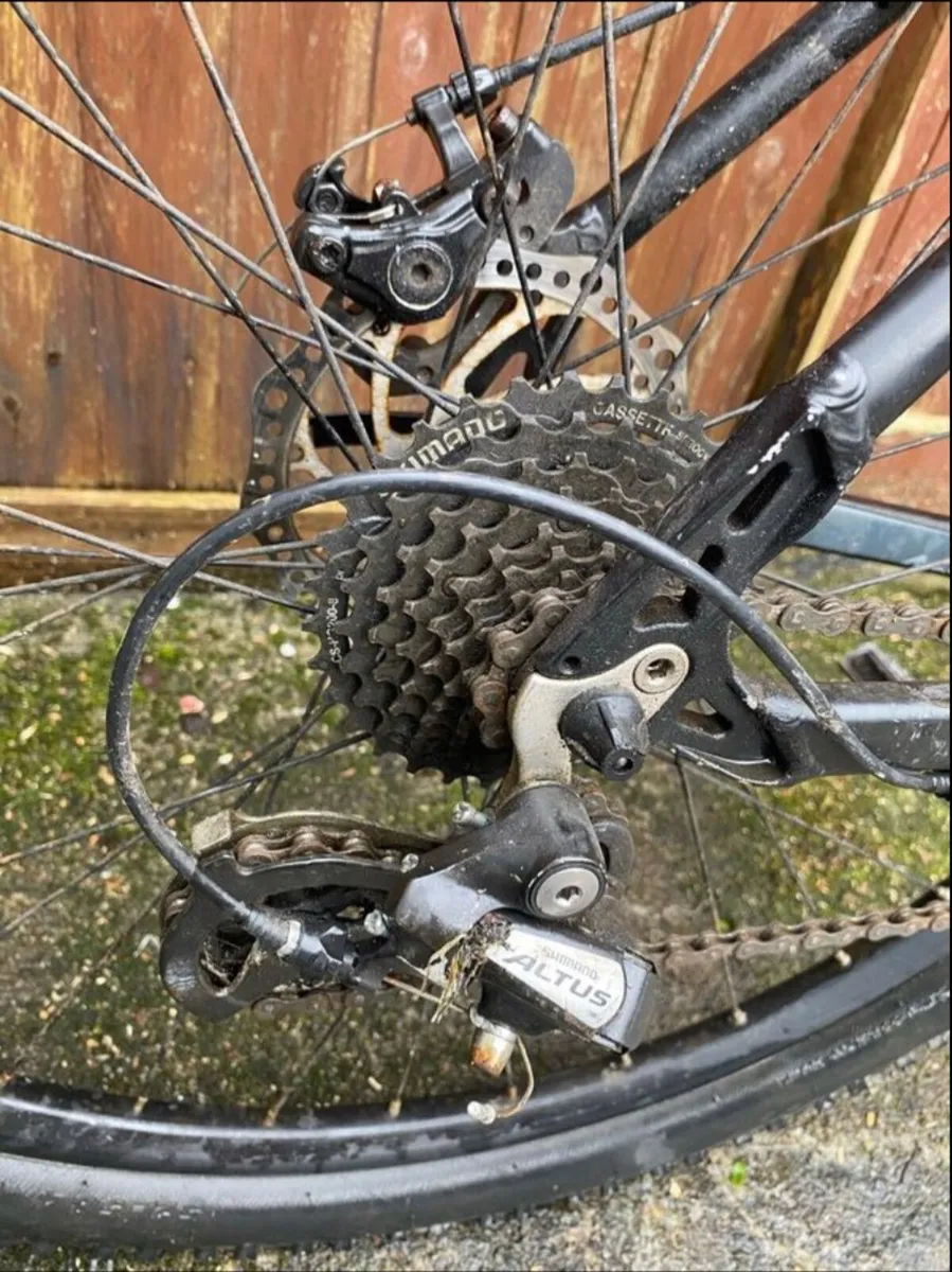 Carrera vengeance - Image 4