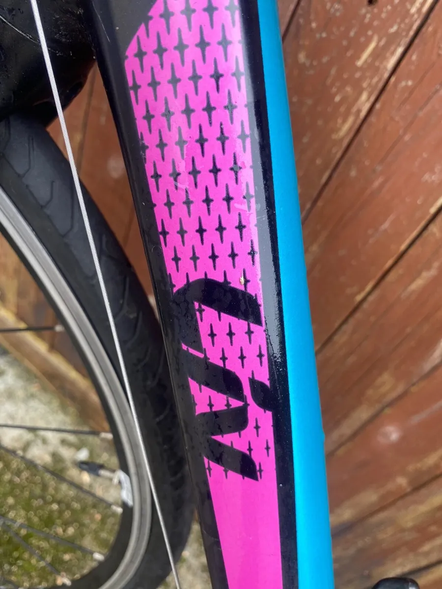 Giant liv avail - Image 2