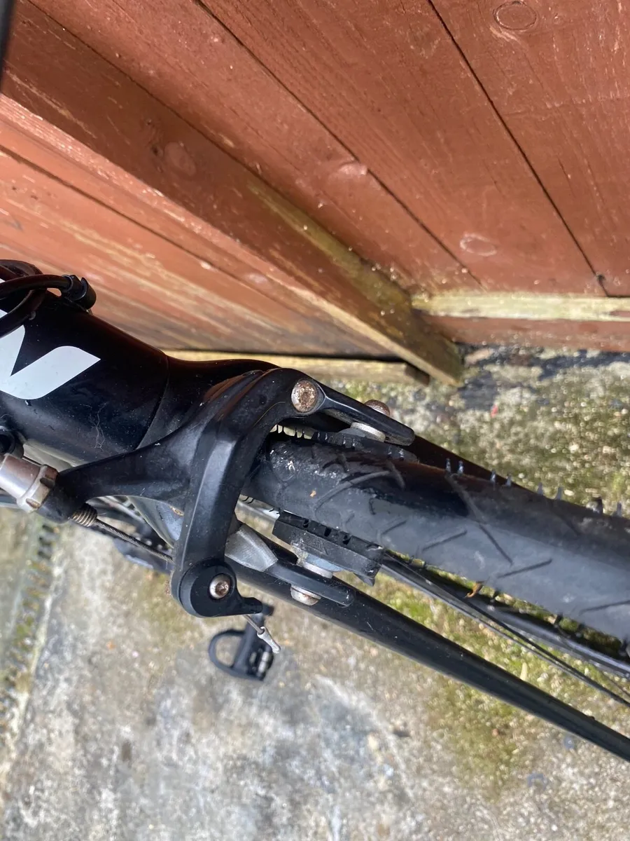 Giant liv avail - Image 4