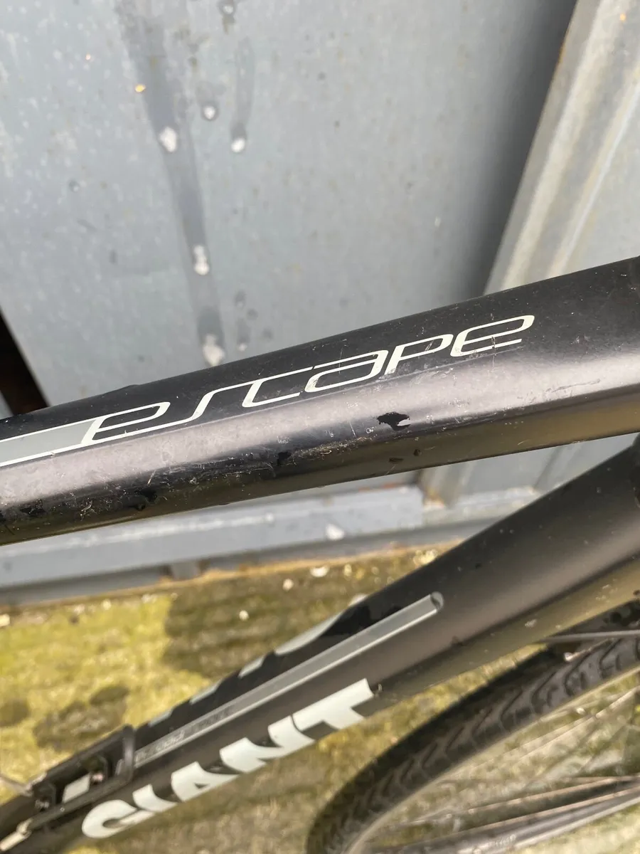 Giant escape - Image 3