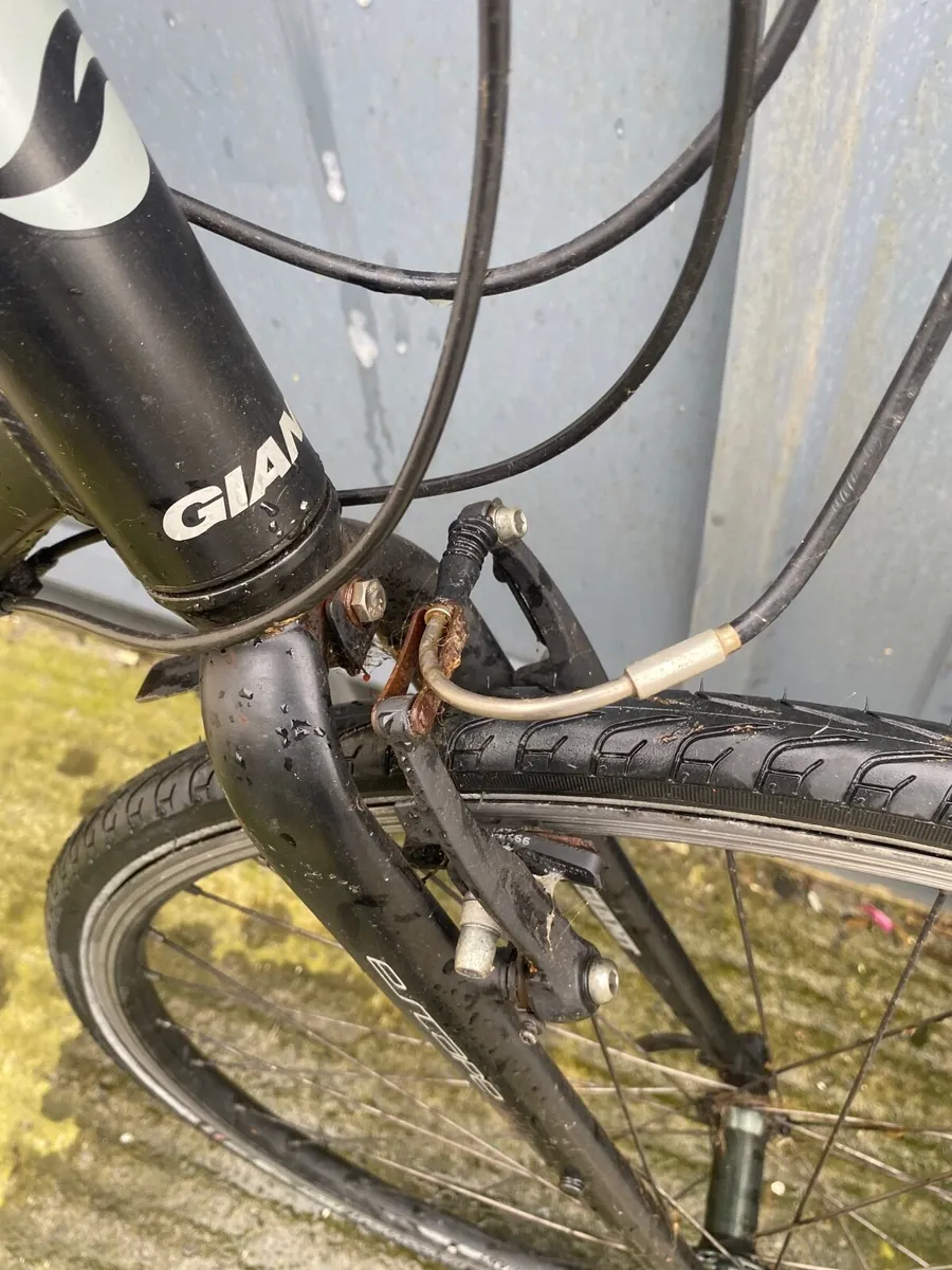 Giant escape - Image 4