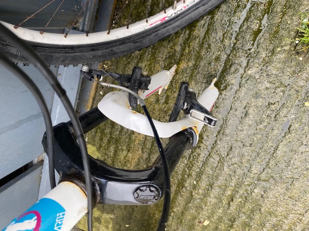 Torpado bike - Image 3