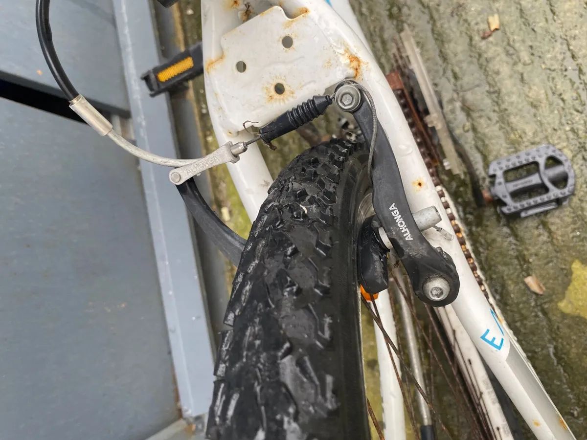 Torpado bike - Image 2