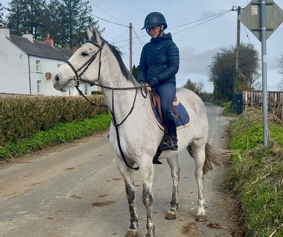 Allrounder - Image 2