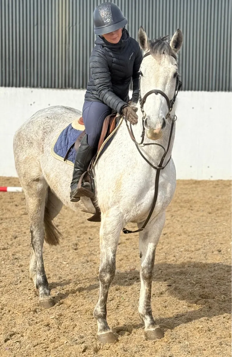 Allrounder - Image 3