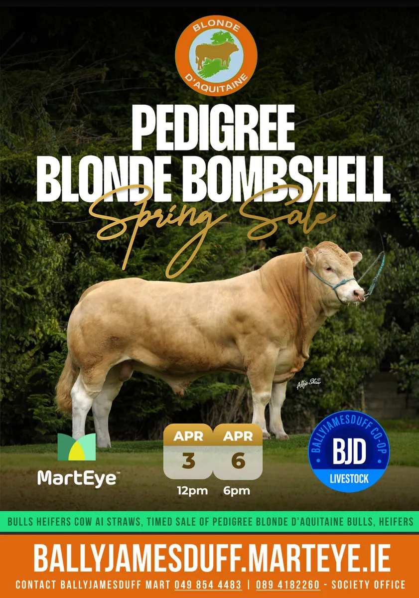 Blonde Bombshell Spring Timed Sale