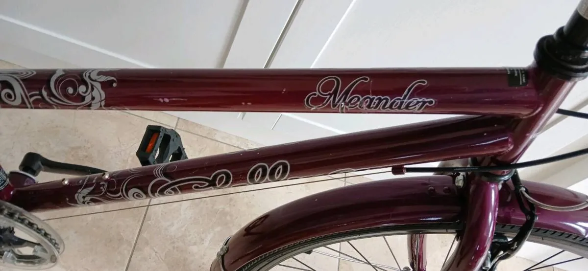 Girls bicycle - Image 3