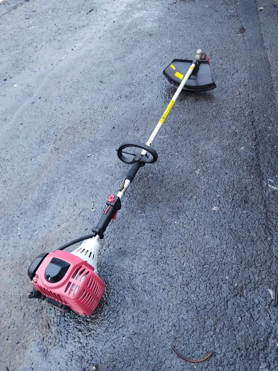 Grass strummers running very well priced - Image 4