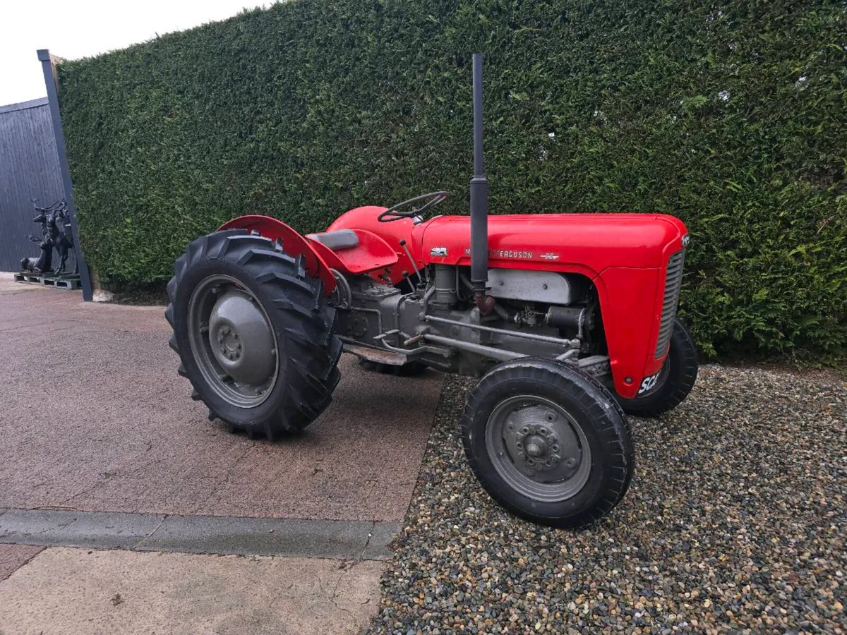 Massey ferguson 35 petrol vintage tractor - Image 1