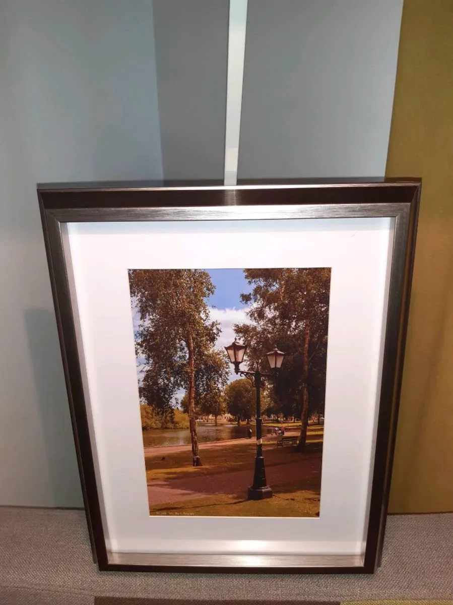 The Lough, Cork - Image 2