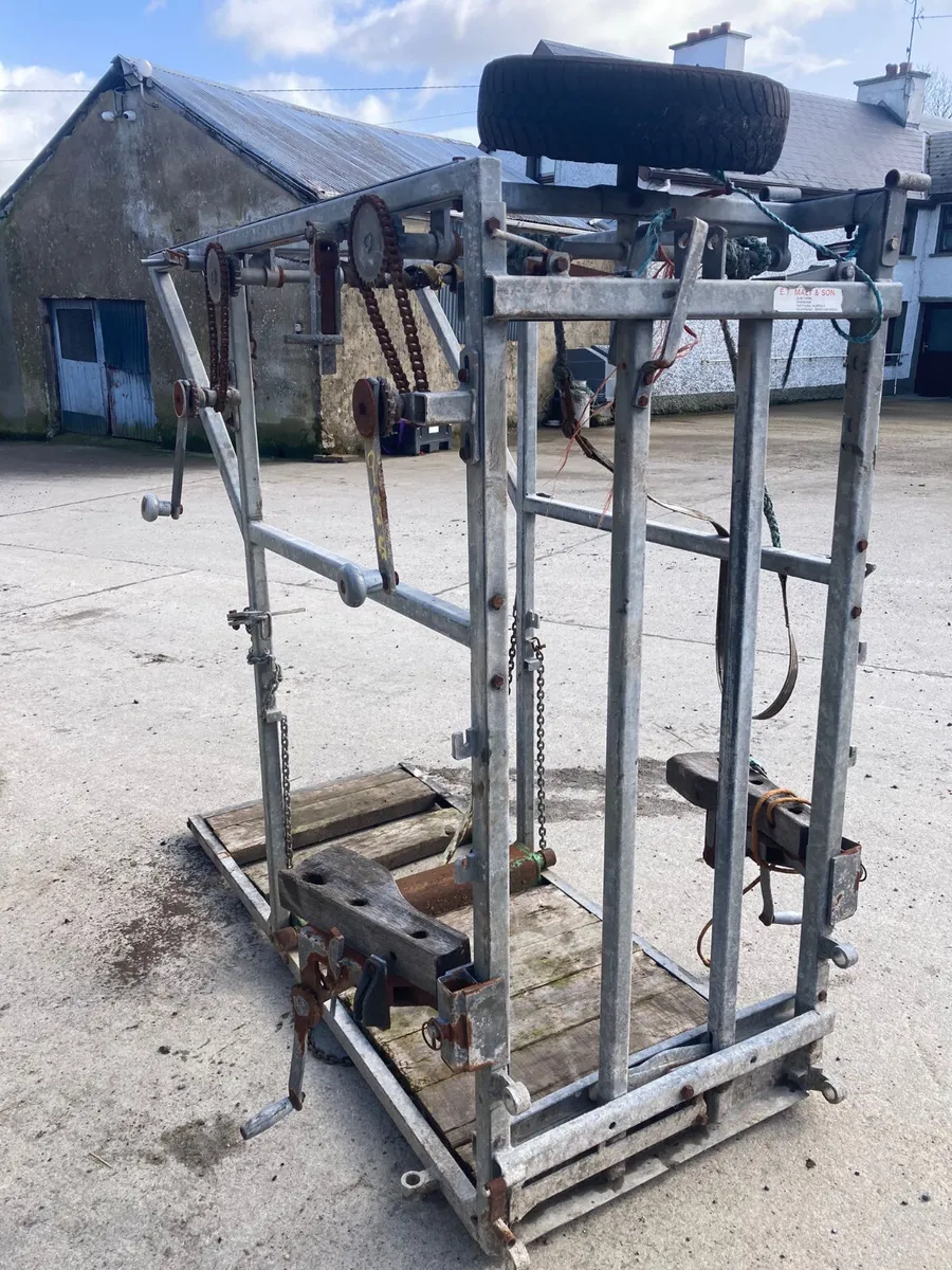 Hoof paring crate - Image 4