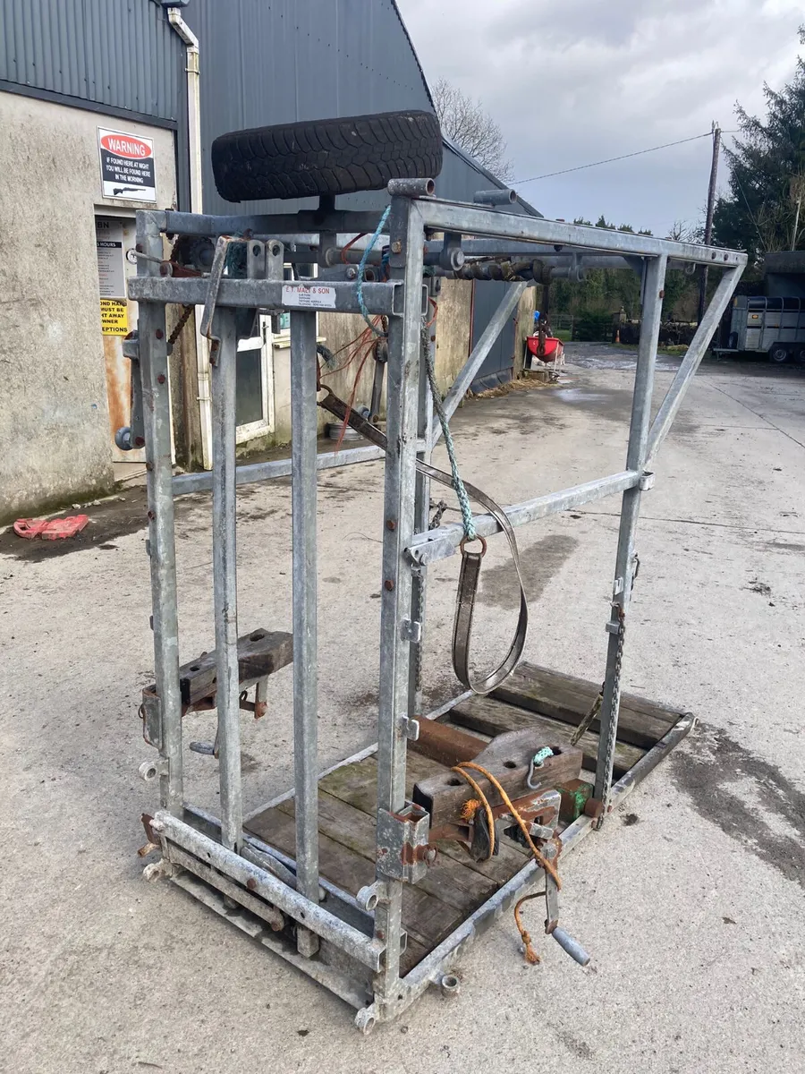 Hoof paring crate - Image 1