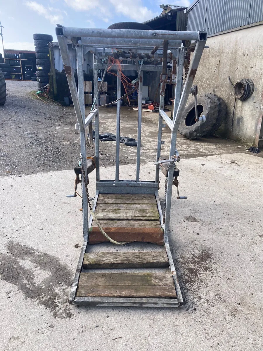 Hoof paring crate - Image 3