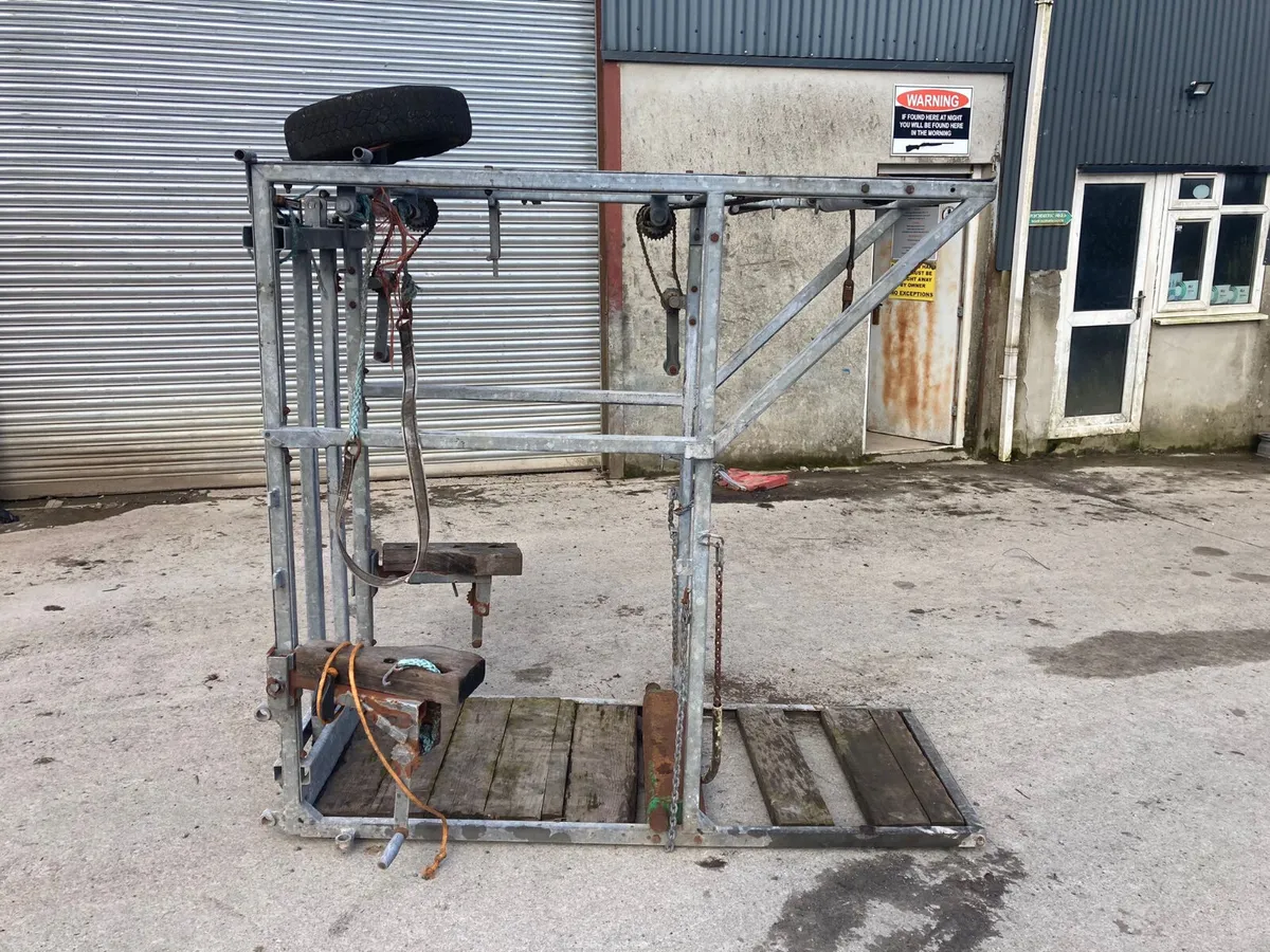 Hoof paring crate - Image 2