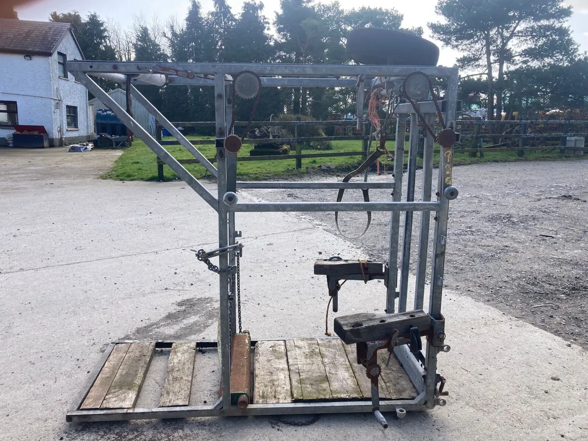 Hoof paring crate - Image 4