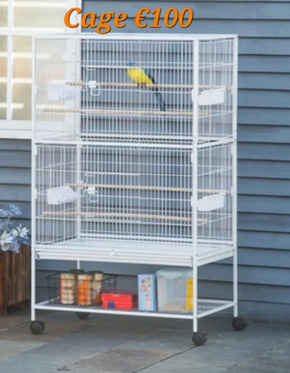 Bird Cages - Image 4