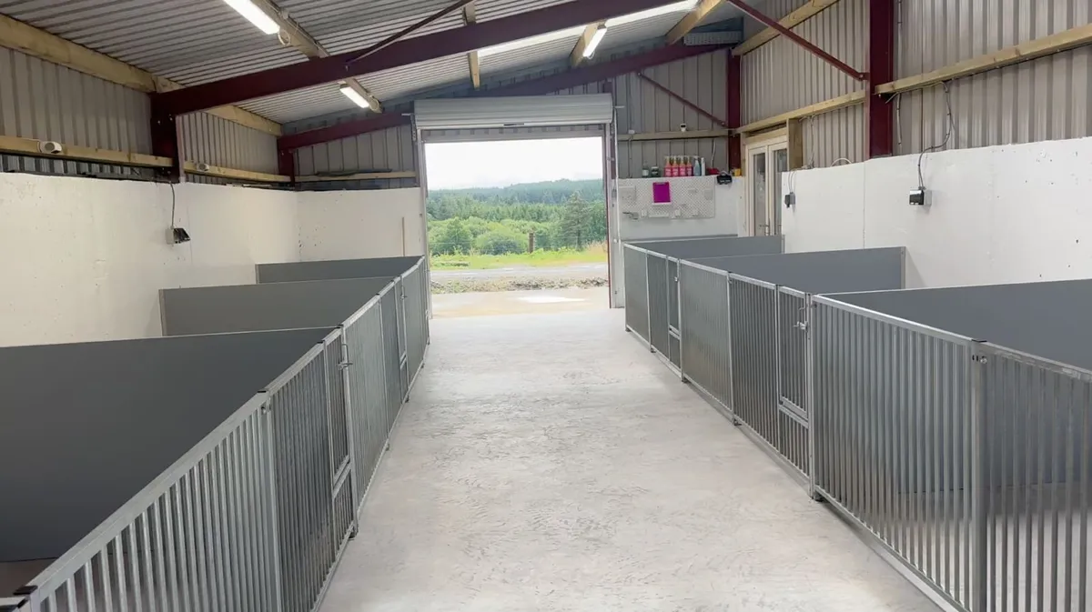 Complete Dog Kennel Setup for sale. - Image 1