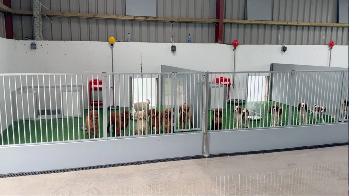Complete Dog Kennel Setup for sale. - Image 3