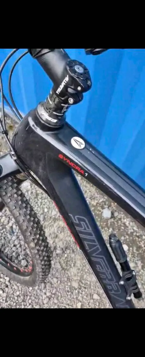 Silverback syncra 1 - Image 2