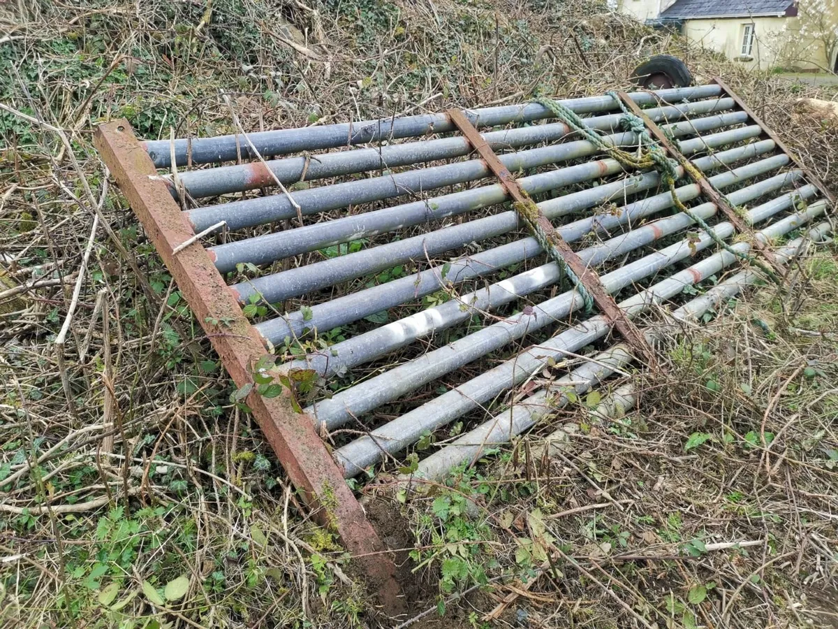 Cattle Grid - Image 1