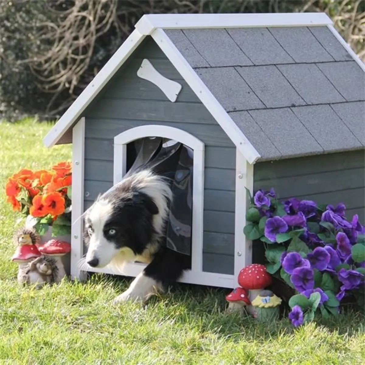 Dog Kennels - Range of Kennels Available - Image 1