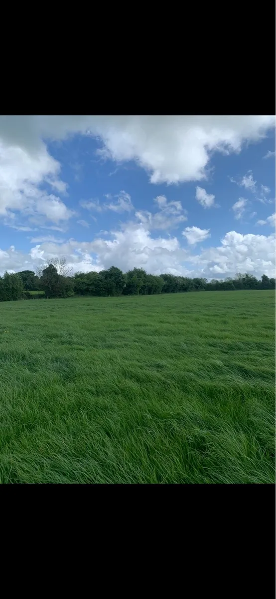 Seeking Silage Ground to Let - Image 1