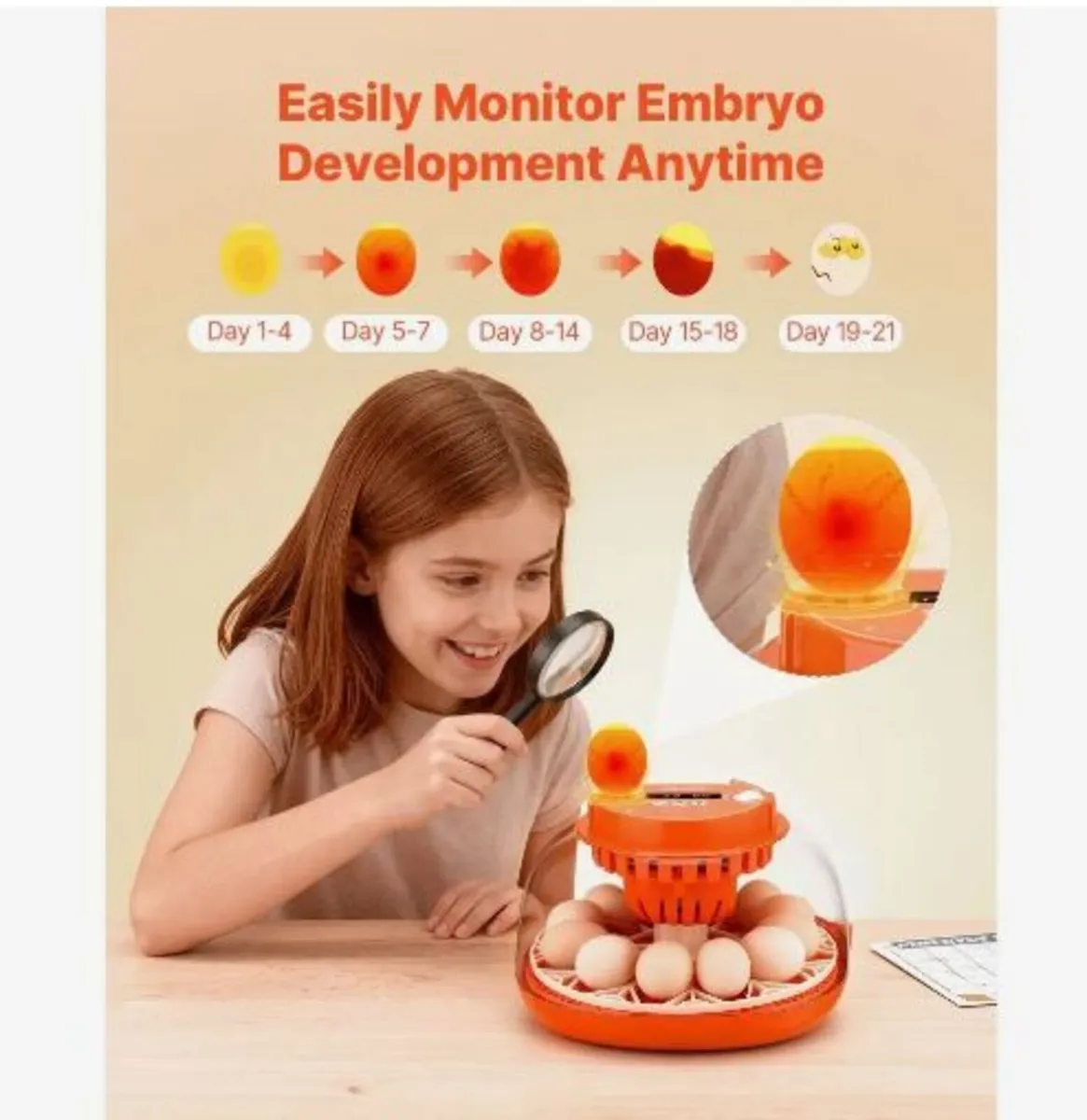 12 Egg Incubator, Automatic Egg Turner - Image 2