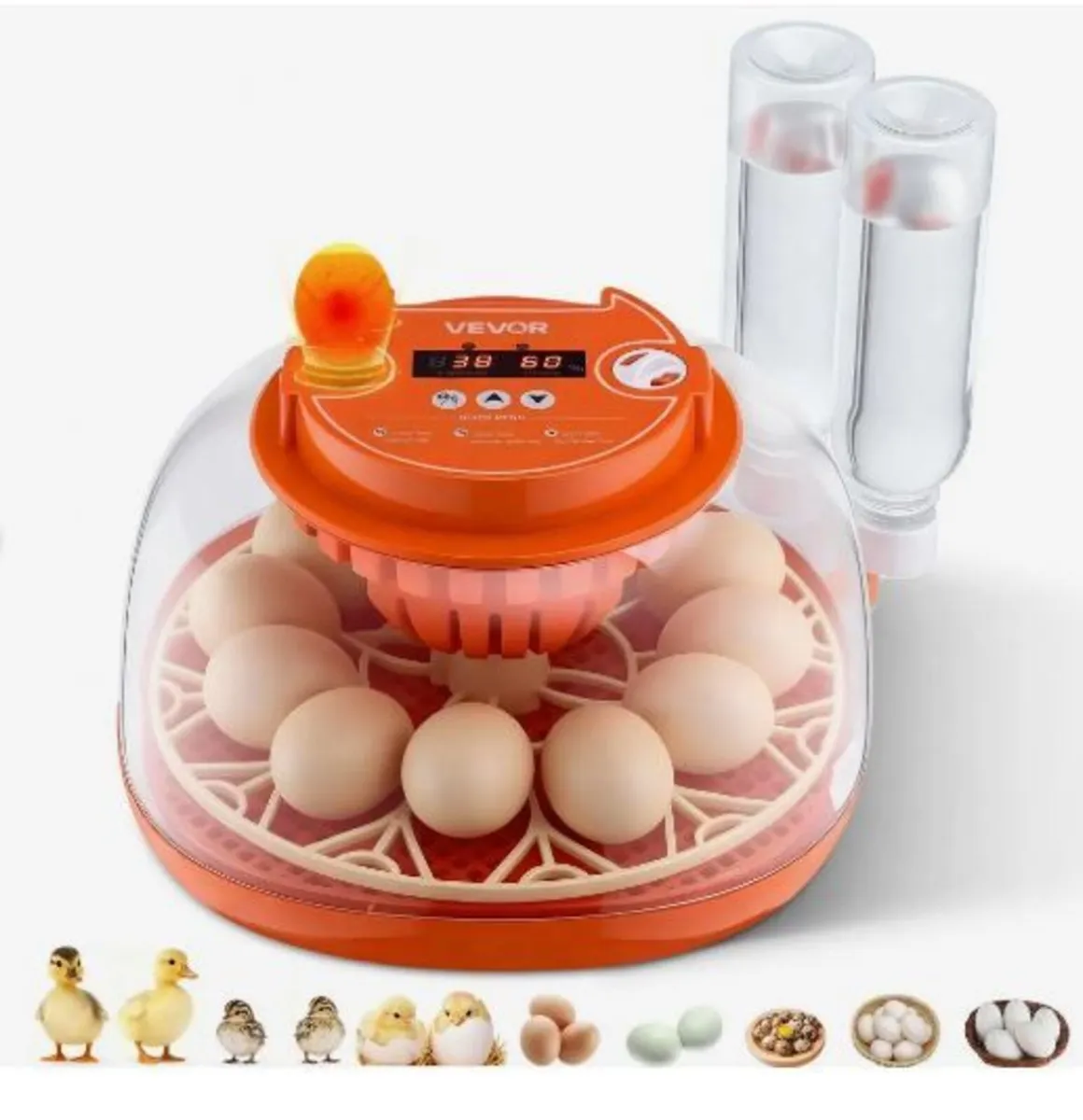 12 Egg Incubator, Automatic Egg Turner - Image 1