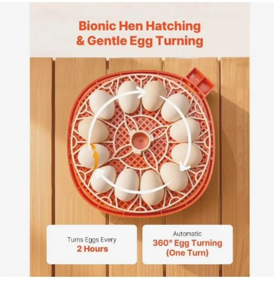 12 Egg Incubator, Automatic Egg Turner - Image 4